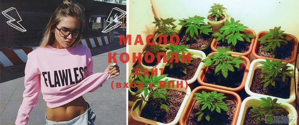 трава Новозыбков