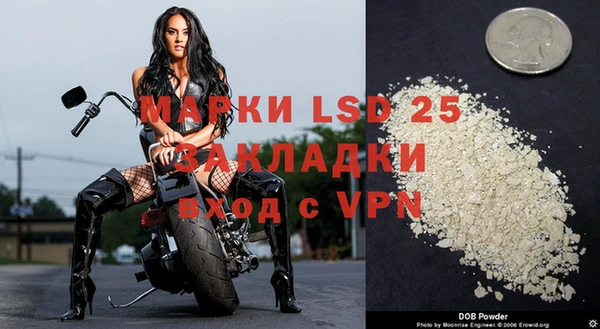 трава Новозыбков