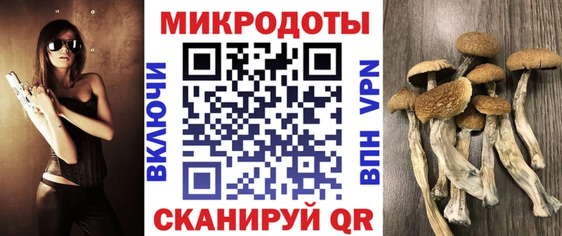 Галлюциногенные грибы Psilocybe  Купить закладки  Симферополь 